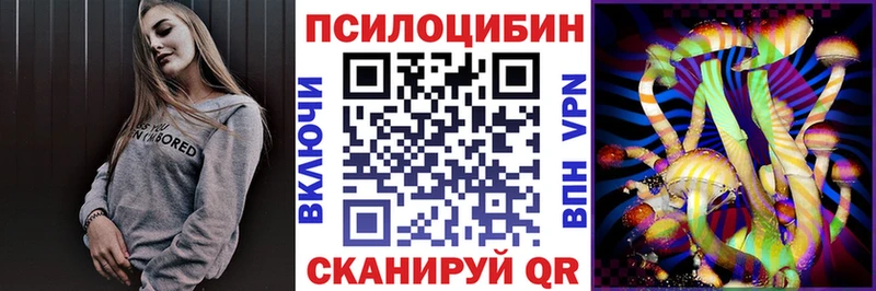 Купить где  Баксан  Галлюциногенные грибы Psilocybine cubensis 